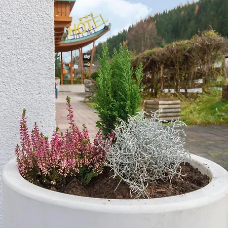 In Wald Near Zillertal Area, Cleaning Included Apartmán Wald im Pinzgau